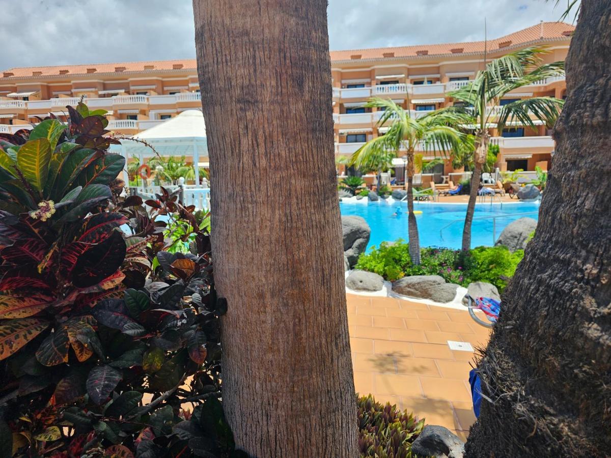 Tenerife Holidays Deluxe, Royal Garden, Las Americas Playa de las Americas  Exterior foto